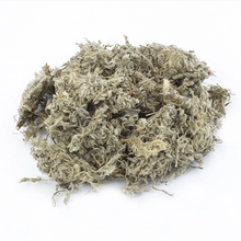 Load image into Gallery viewer, 綿茵陳 8 OZ Artemisiae Scopariae Herba #86126-8