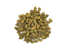 Load image into Gallery viewer, 紫皮霍山石斛 (瓶裝) Dendrobium Huoshan 4 oz #86114-1