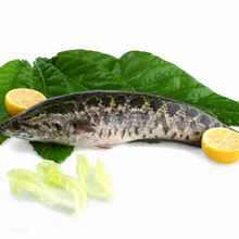 Load image into Gallery viewer, 鱻 - 黑魚片 FISH³ Frozen Black Fish Fillets 200 g #3940