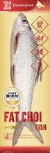 Load image into Gallery viewer, (味) 發財鯪魚 (400-500g) 一條  (Passion Food) Fat Choi Dace Fish 400-500g/pcs #5706-400-500 ($6.55/LB)
