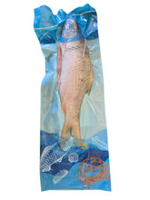 Load image into Gallery viewer, (鱻) 發財鯪魚 (500-750g) 一條  Fat Choi Dace Fish 500-750g/pcs #5706-500-750 ($6.55/LB)
