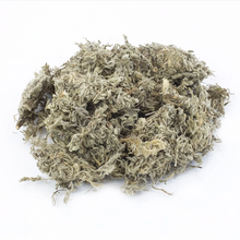 Load image into Gallery viewer, 綿茵陳 8 OZ Artemisiae Scopariae Herba #86216-8
