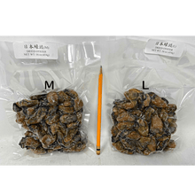Load image into Gallery viewer, 日本蠔豉 (加大) 1 磅  Dried Oyster Japan (2L) 1 lb  #90032LL
