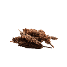Load image into Gallery viewer, 夏枯草 (6盎士小包) CHINESE HERB Dried Prunella Vul Garisl 6 oz   #82002-6

