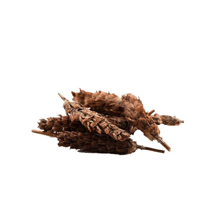 夏枯草 (6盎士小包) CHINESE HERB Dried Prunella Vul Garisl 6 oz   #82002-6