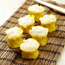Load image into Gallery viewer, 陳記點心 - 魚蓉燒賣 CHAN KEE Fish Meat Dim Sum 450 g  #1901a
