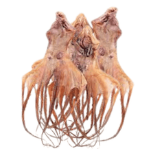 Load image into Gallery viewer, 大章魚 4 隻 [$41.19/lb] 滋陰養胃 - Dried Octopus 4 pcs  #90029

