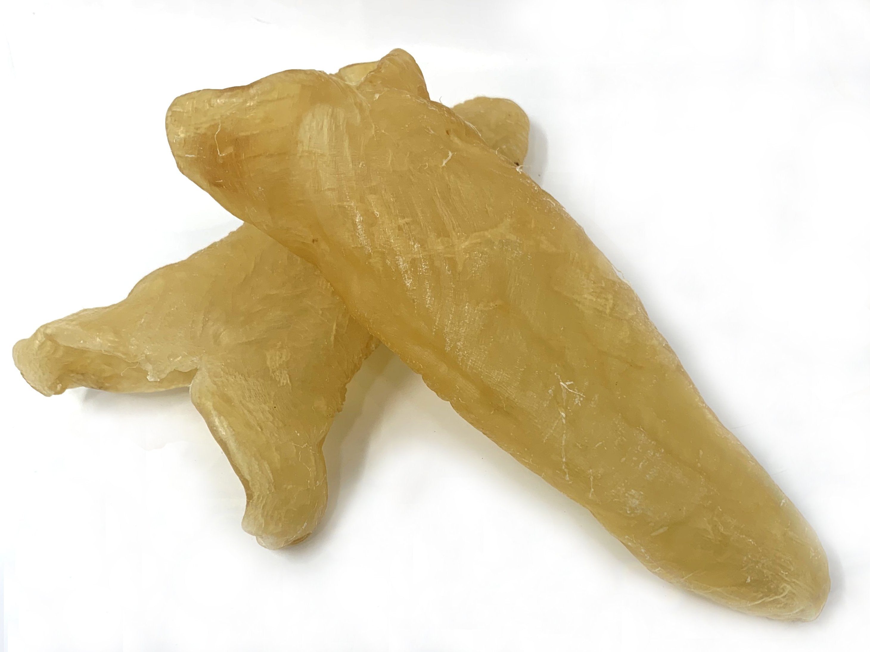 南美大花膠桶 (0.3磅) Large Fish Maw L (0.3lb) #1102f