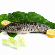 Load image into Gallery viewer, 鱻 - 黑魚片 3Fish Frozen Black Fish Fillets 200 g  #3940
